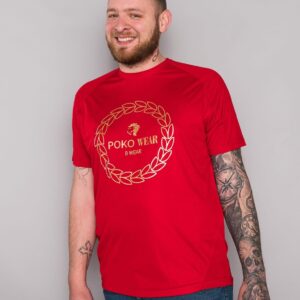 Men's Panelled T-shirt